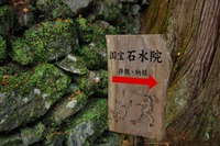 *京都一周トレイル* その弐 上桂~高雄~高山寺