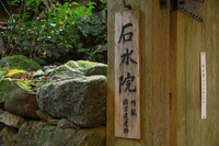 *京都一周トレイル* その弐 上桂~高雄~高山寺