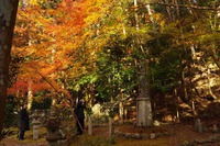 *京都一周トレイル* その弐 上桂~高雄~高山寺