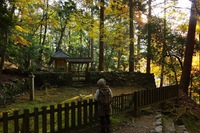 *京都一周トレイル* その弐 上桂~高雄~高山寺