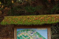 *京都一周トレイル* その弐 上桂~高雄~高山寺