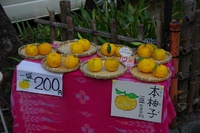 *フィナーレは・・らしく・・・京都1周トレイル 西山コース*