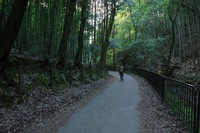 *フィナーレは・・らしく・・・京都1周トレイル 西山コース*