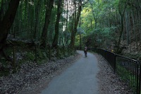 ＊フィナーレは・・らしく・・・京都1周トレイル　西山コース＊