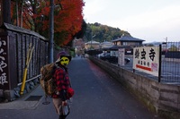 *フィナーレは・・らしく・・・京都1周トレイル 西山コース*