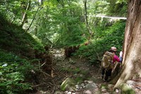 * お花畑を求めて・・大山ユートピア 三鈷峰 * 7月中旬編