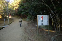 * LAST MOMIJI * 晩秋の書写山 兵庫100山