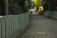 * LAST MOMIJI * 晩秋の書写山 兵庫100山