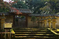 * LAST MOMIJI * 晩秋の書写山 兵庫100山