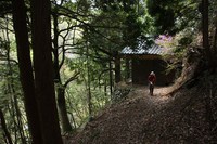 * はしごハイク 青倉山 * 兵庫100山