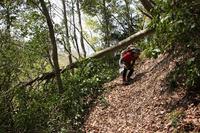 * はしごハイク 青倉山 * 兵庫100山