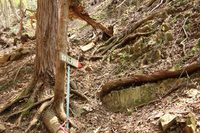 * はしごハイク 青倉山 * 兵庫100山