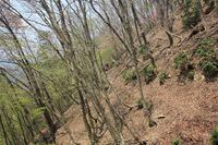 * はしごハイク 青倉山 * 兵庫100山