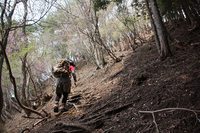 * はしごハイク 青倉山 * 兵庫100山