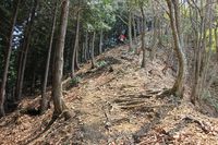 * はしごハイク 青倉山 * 兵庫100山