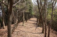 * はしごハイク 青倉山 * 兵庫100山