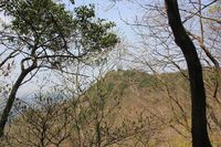 * はしごハイク 青倉山 * 兵庫100山
