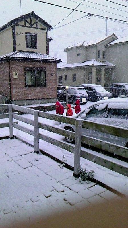 雪やこんこん・・・^∀^
