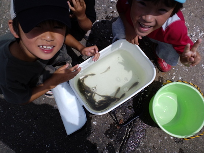 夏のハゼ釣り