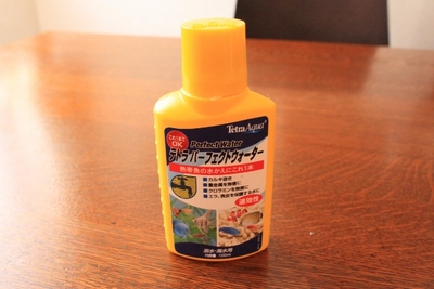 やさしい熱帯魚☆
