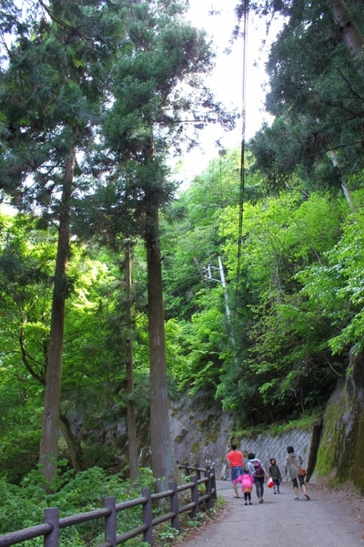 ファミリーキャンプ in 川和自然公園^∀^・・・パート2