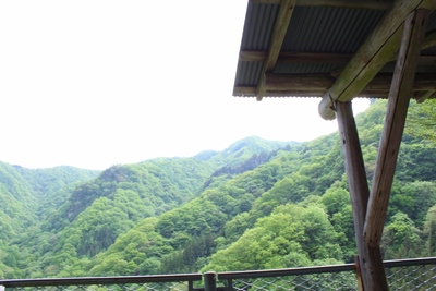 ファミリーキャンプ in 川和自然公園^∀^・・・パート2