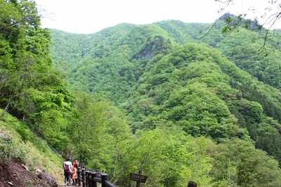 ファミリーキャンプ in 川和自然公園^∀^・・・パート2