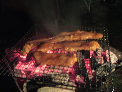 【 雪峰祭オフ SNOWPEAK FESTA 2008 】