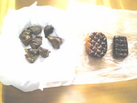 かわせみ河原キャンプ