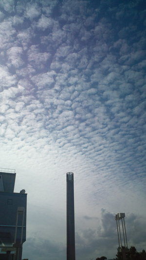 福岡の空
