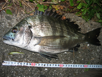 相性