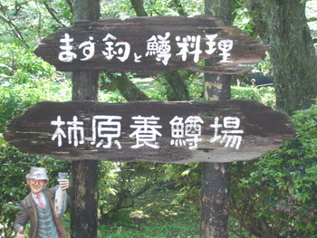 マス釣り