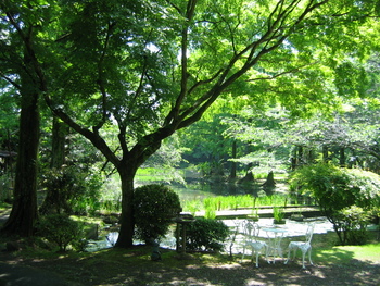 マス釣り