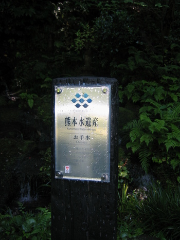 マス釣り