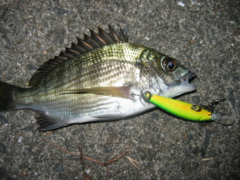 続・日食の夜