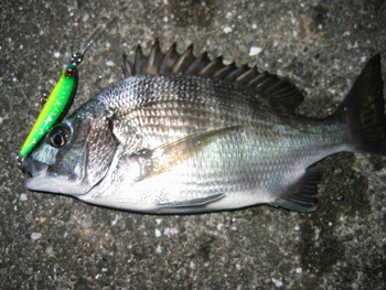 続・日食の夜