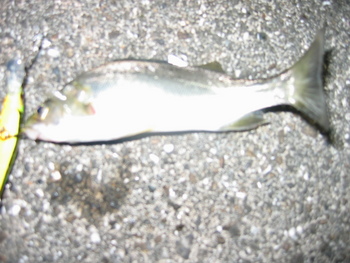 続・誤認