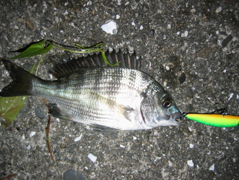 続・誤認