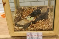 7月25~27日 ドキドキ初登山キャンプレポ♪ No.3