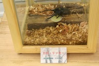 7月25~27日 ドキドキ初登山キャンプレポ♪ No.3