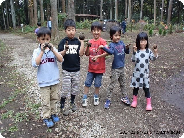 14.11.08~11.09 昭和の森フォレストヴィレッジ 14.11.08~11.09 昭和の森フォレストヴィレッジ