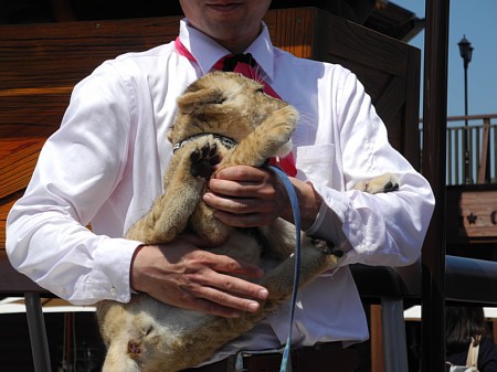 和歌山キャンプ旅-2日目 和歌山キャンプ旅-2日目