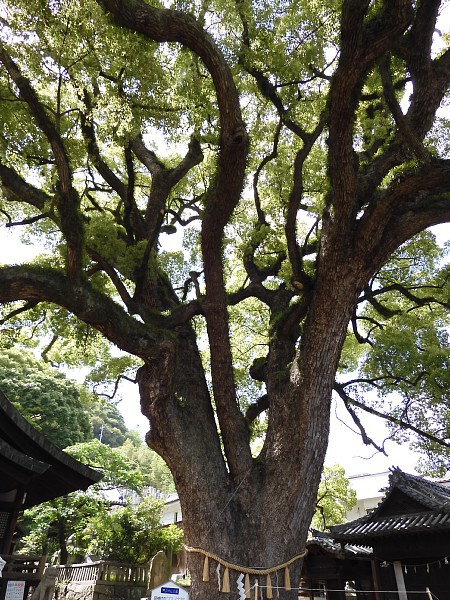 山陽-瀬戸内旅 倉敷・尾道 山陽-瀬戸内旅 倉敷・尾道