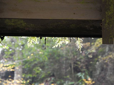 晩秋の赤目四十八滝 晩秋の赤目四十八滝