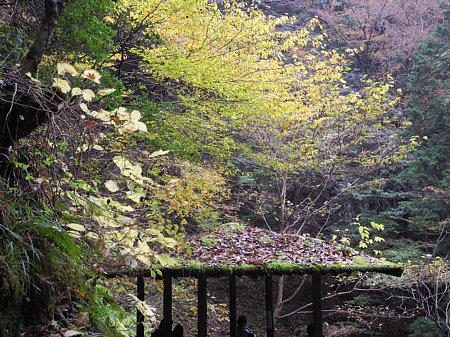 晩秋の赤目四十八滝 晩秋の赤目四十八滝