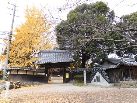 えびすやと祖父江の銀杏 えびすやと祖父江の銀杏
