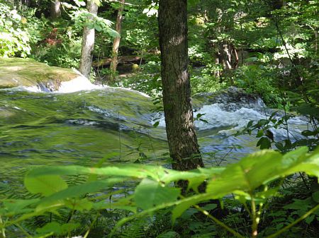 東北キャンプ旅-3日目 大間埼へ 東北キャンプ旅-3日目 大間埼へ