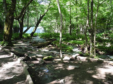 東北キャンプ旅-3日目 大間埼へ 東北キャンプ旅-3日目 大間埼へ