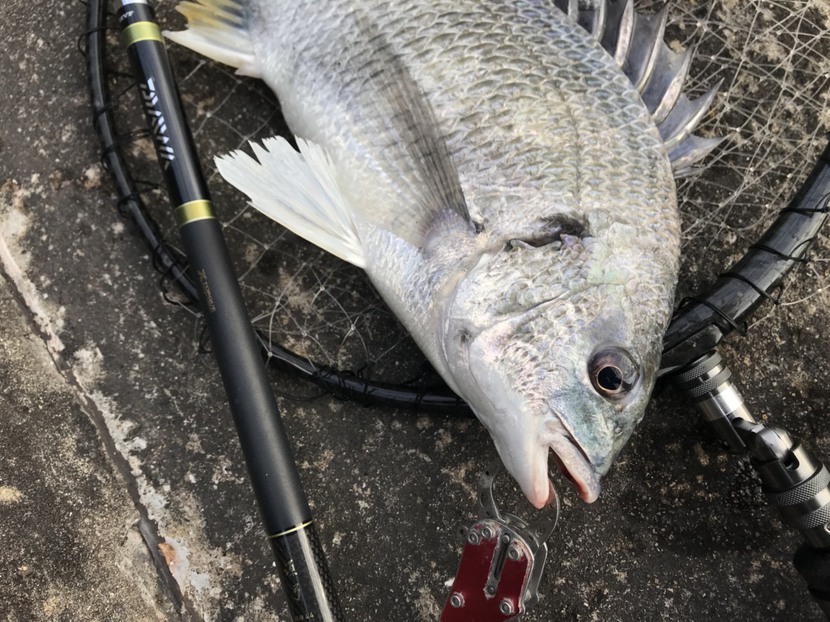 18th result : 魚は海に幾らでもいる 18th result : 魚は海に幾らでもいる