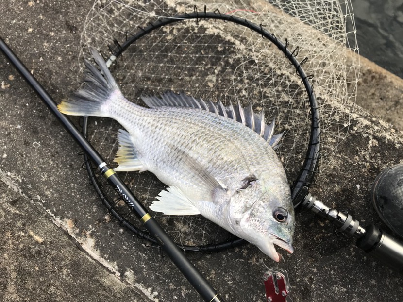 18th result : 魚は海に幾らでもいる 18th result : 魚は海に幾らでもいる